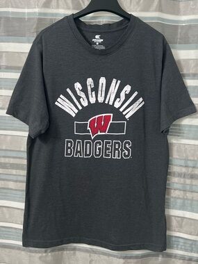 Wisconsin Badgers Men's Dark Gray Graphic T-Shirt